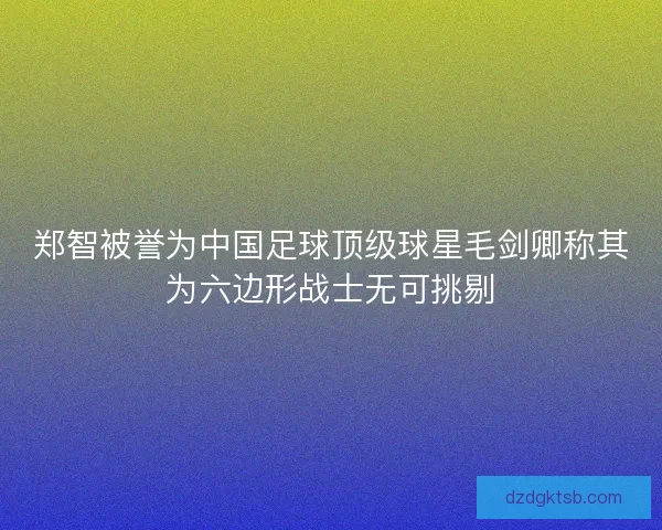 郑智被誉为中国足球顶级球星毛剑卿称其为六边形战士无可挑剔